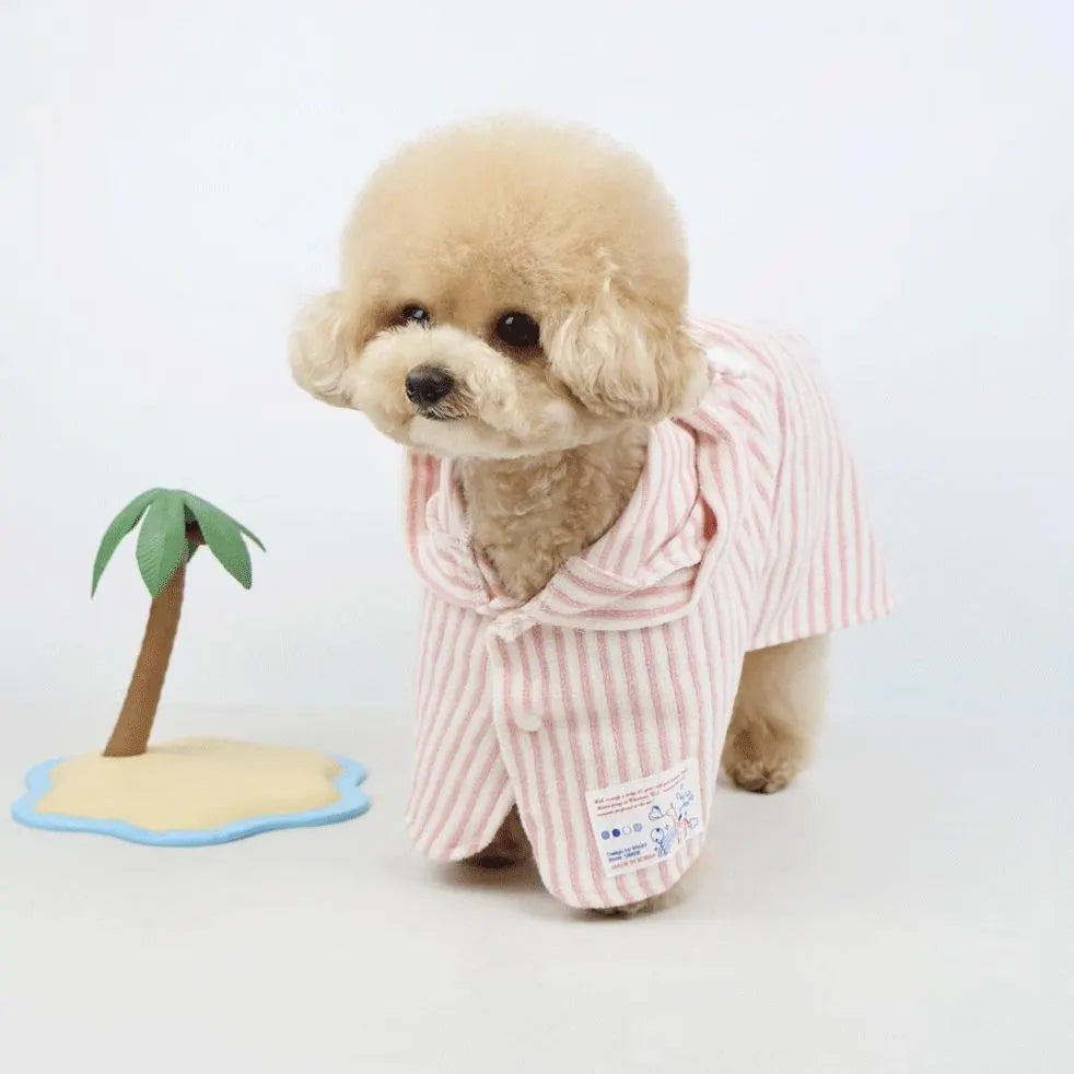 Small dog wearing a pink striped robe